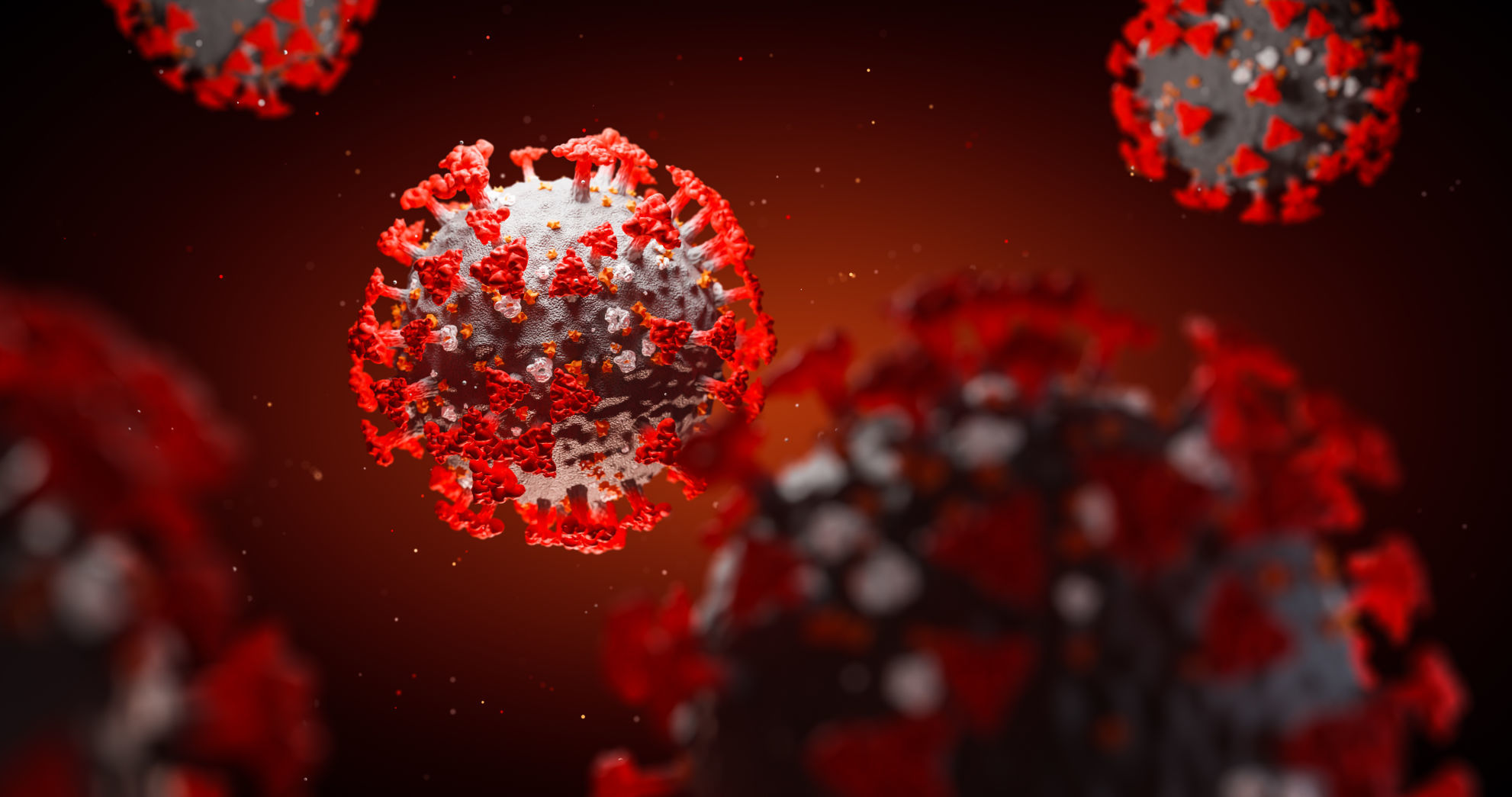 Coronavirus (LE)